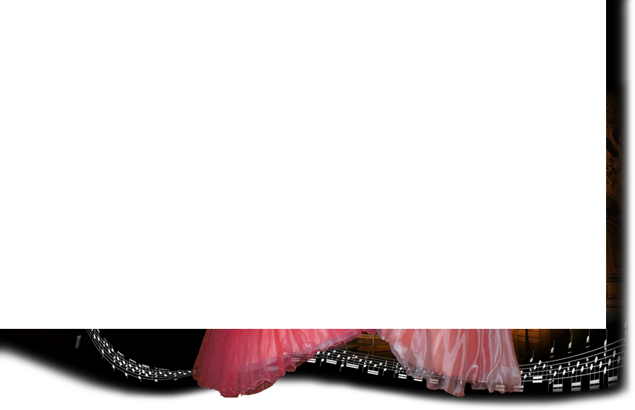 Vocalis oferuje muzyczno-rozrywkową oprawę wieczoru, imprez okolicznościowych i bankietów.