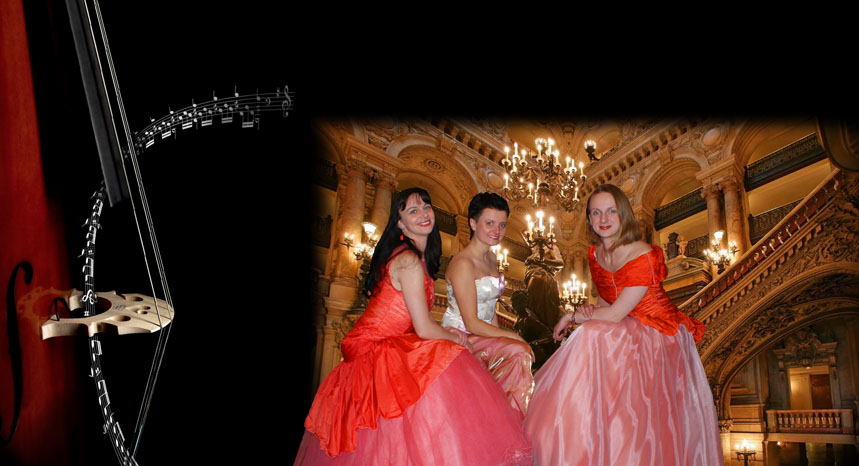 Vocalis oferuje muzyczno-rozrywkową oprawę wieczoru, imprez okolicznościowych i bankietów.